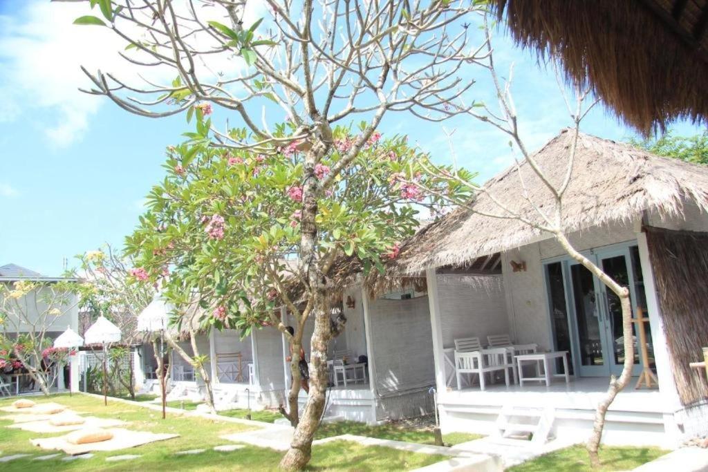 Dream Cowork Kuta (Lombok)